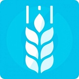 G-tech: Корпоративный сайт компании, адаптивный